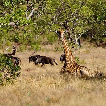 Waterberg Game Lodge Бела-Бела Экстерьер фото
